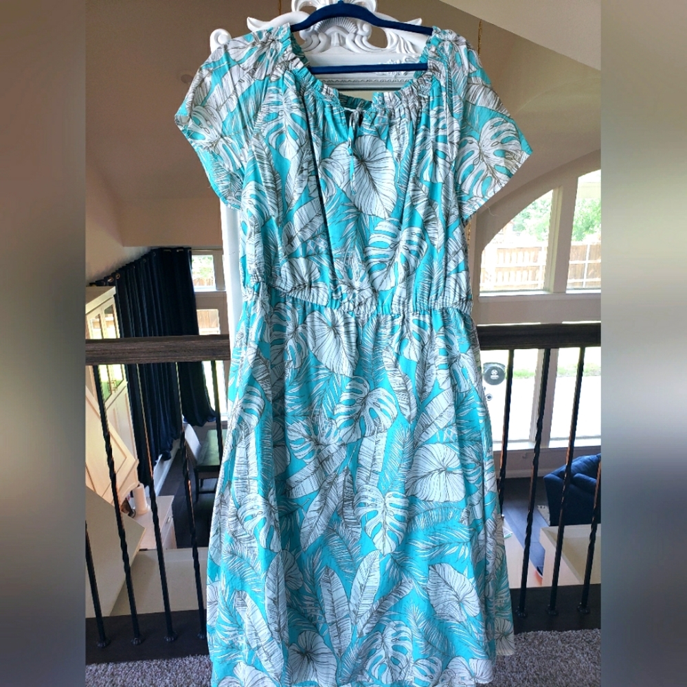 Talbots Blue and White Flutter Sleeve Sundress